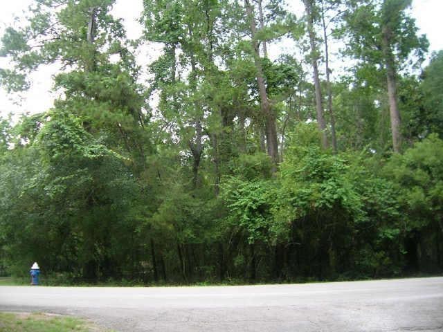 2707 Royal Circle Dr, Houston, TX 77339