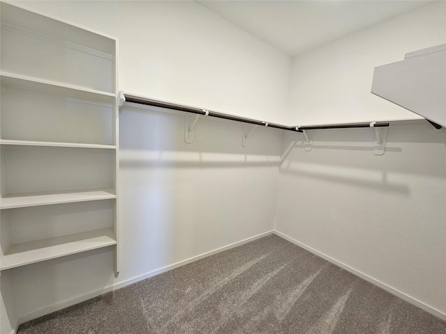 10623 Autumn Trace Dr, Beasley, TX 77417 - spacious closet featuring dark carpet