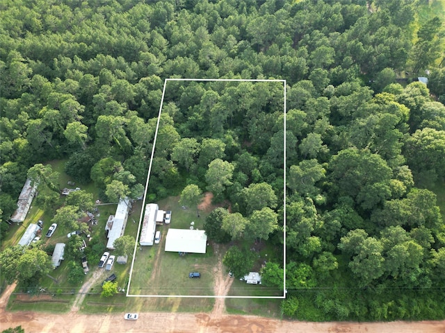17306 Brittany Ln, Plantersville, TX 77363 - photo 1