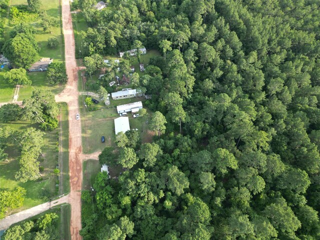 17306 Brittany Ln, Plantersville, TX 77363 - photo 4