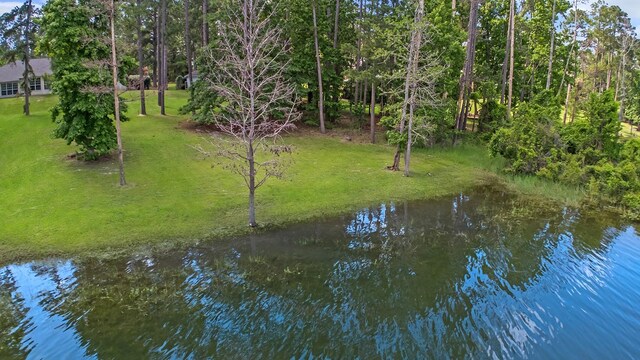 627 Shoreline Dr, Brookeland, TX 75931 - water view