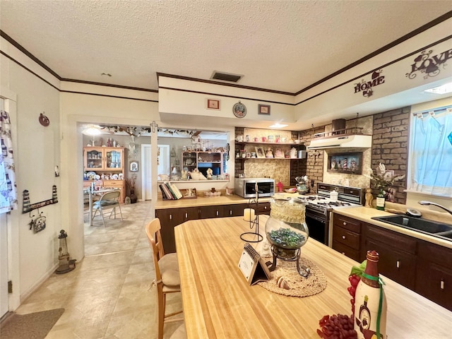 706 W St, Yoakum, TX 77995 - kitchen with a sink, gas stove, crown molding, a textured ceiling, and light countertops
