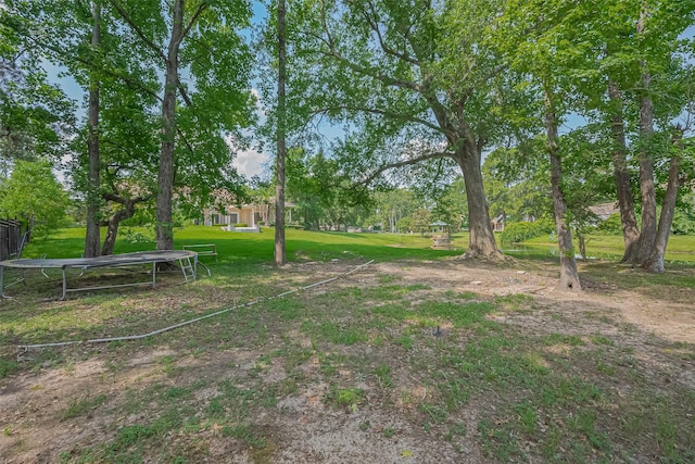 8522 Haven Trl, Tomball, TX 77375 - view of green lawn featuring a trampoline