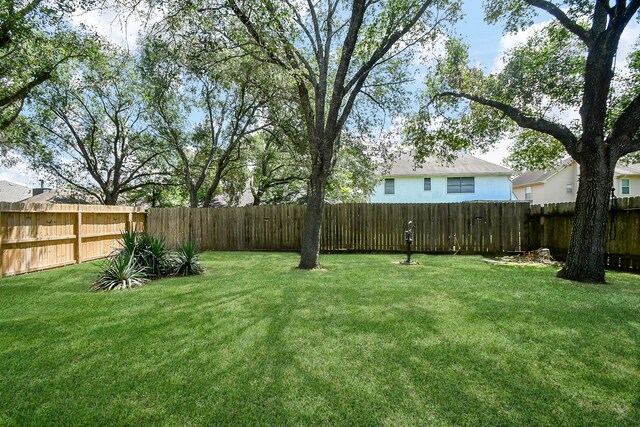 16323 Elmwood Point Ln, Sugar Land, TX 77498 - view of yard