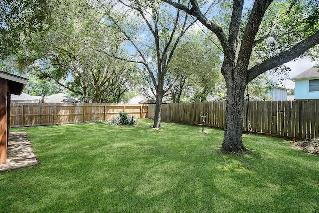 16323 Elmwood Point Ln, Sugar Land, TX 77498 - view of yard