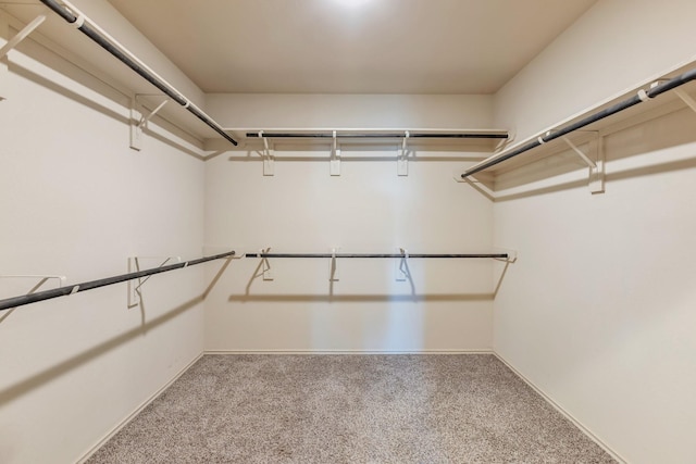 16531 Silla Ridge Ct, Houston, TX 77049 - walk in closet with carpet