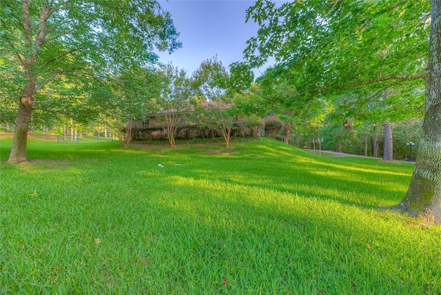 156 Magnolia Bend Dr, Livingston, TX 77351 - photo 32