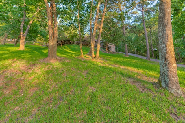 156 Magnolia Bend Dr, Livingston, TX 77351 - photo 33