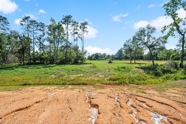 190 Faulkner Ave, Coldspring, TX 77331 - view of nature featuring rural landscape