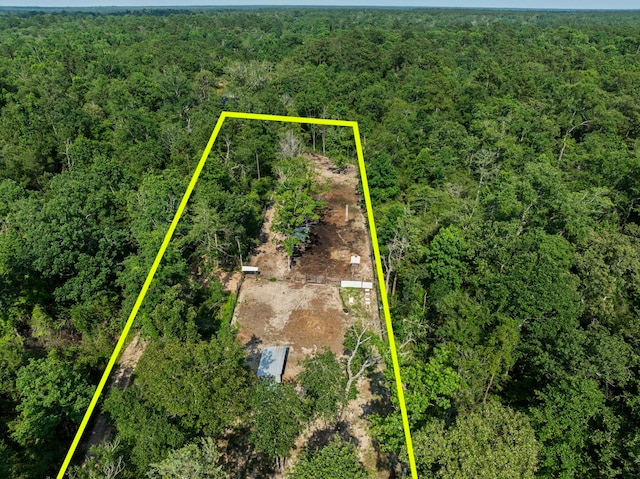 17131 Carrol Ln, Willis, TX 77378 - aerial overview of property's location featuring a heavily wooded area and property parcel outlined
