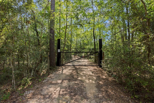 17131 Carrol Ln, Willis, TX 77378 - gate featuring a wooded view