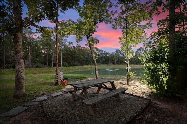 17131 Carrol Ln, Willis, TX 77378 - yard at dusk with a water view