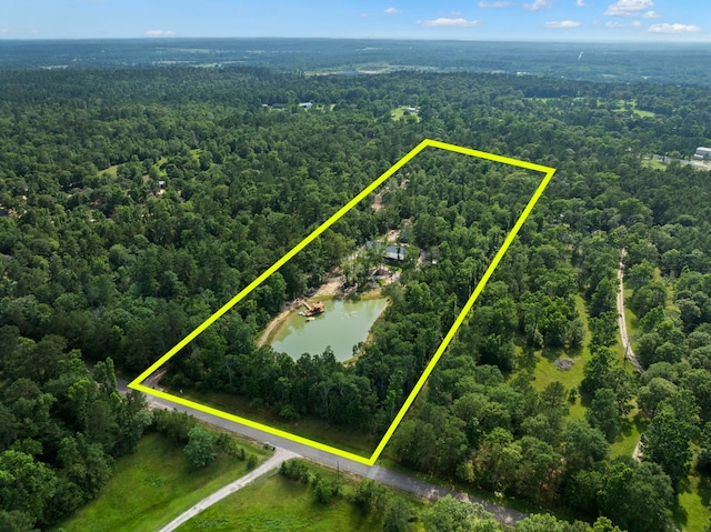 17131 Carrol Ln, Willis, TX 77378 - aerial overview of property's location with a forest, property boundaries highlighted, and a large body of water