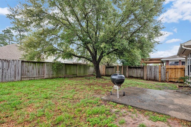 25430 Twister Trl, Spring, TX 77373 - view of yard