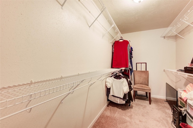 11111 Clear Fork Dr, Humble, TX 77396 - spacious closet featuring light carpet