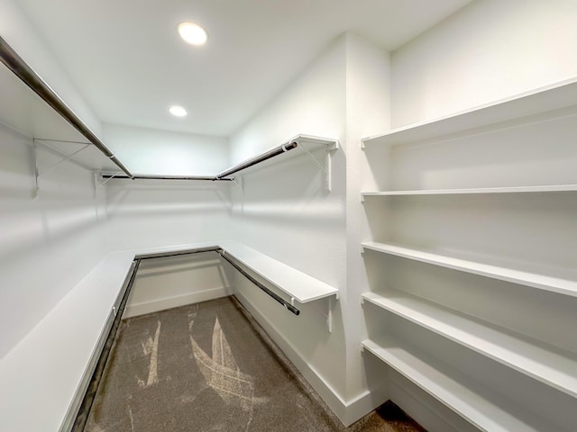 9219 Pecos St, Houston, TX 77055 - walk in closet featuring carpet floors