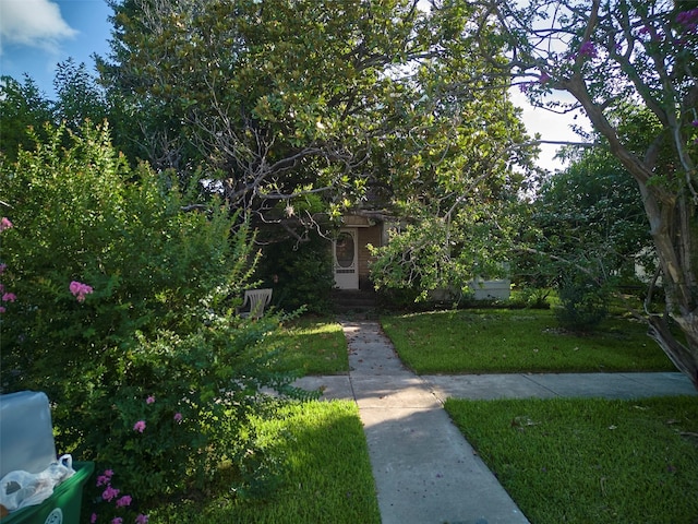 4311 Pease St, Houston, TX 77023 - obstructed view of property with a front lawn