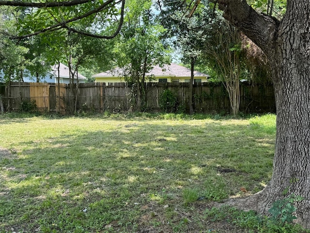 8117 Snowden St, Houston, TX 77028 - view of yard