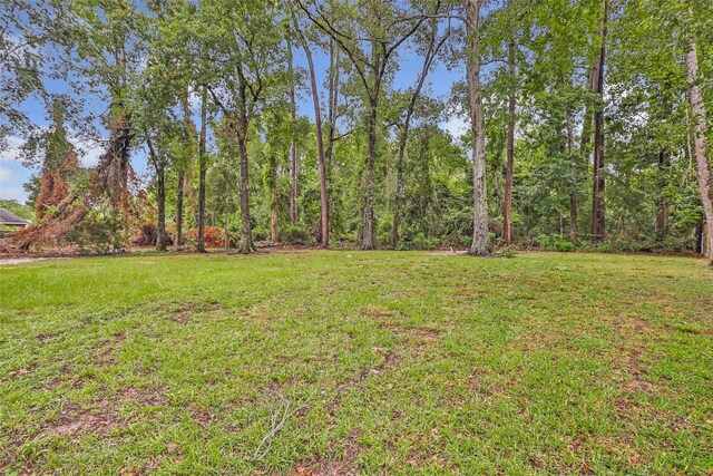 503 Mildred St, Cleveland, TX 77328 - photo 9