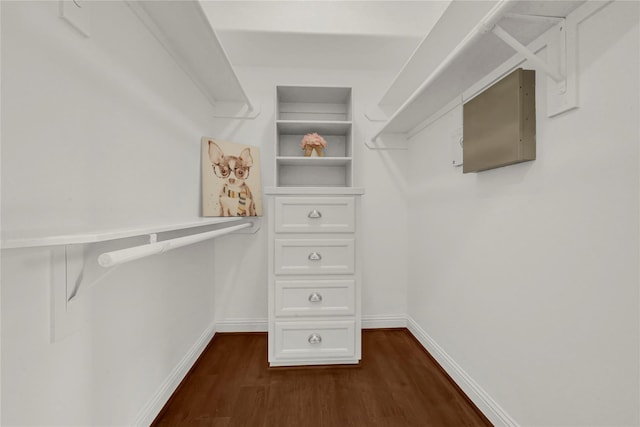 2609 Riverside Dr Unit C, Houston, TX 77004 - walk in closet with dark wood finished floors