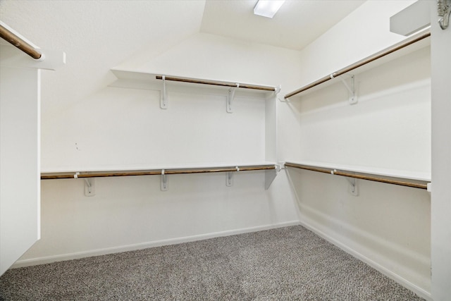 19426 Blueberry Cedar Dr, Cypress, TX 77433 - walk in closet featuring carpet flooring