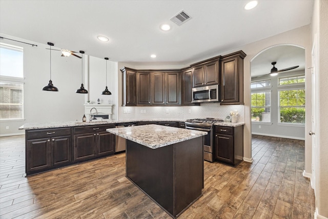 19426 Blueberry Cedar Dr, Cypress, TX 77433 - kitchen with stainless steel appliances, a peninsula, dark brown cabinetry, dark wood-style flooring, and recessed lighting