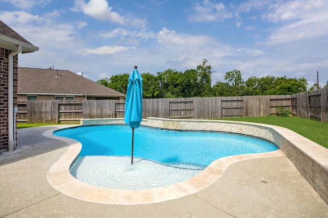 19426 Blueberry Cedar Dr, Cypress, TX 77433 - view of pool with a fenced backyard and a patio