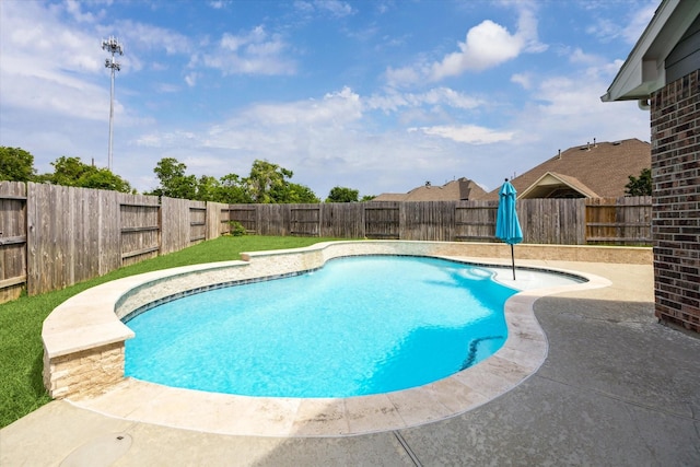 19426 Blueberry Cedar Dr, Cypress, TX 77433 - view of swimming pool featuring a fenced backyard and a patio area