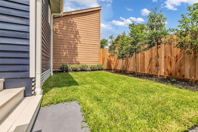 904 Willard St, Houston, TX 77006 - view of yard