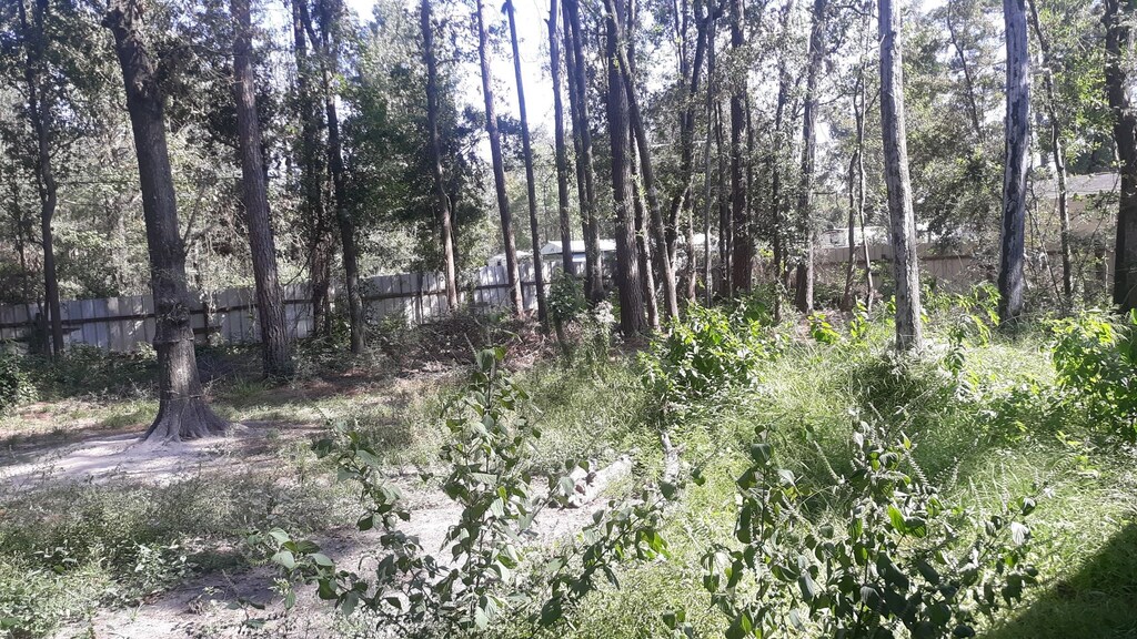 0000 Stevens St, New Caney, TX 77357
