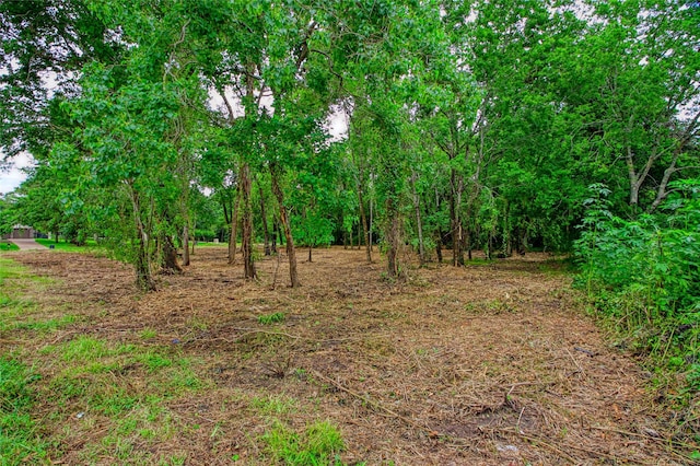 501 Colonial Dr, Friendswood, TX 77546 - photo 2