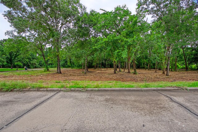 501 Colonial Dr, Friendswood, TX 77546 - photo 8