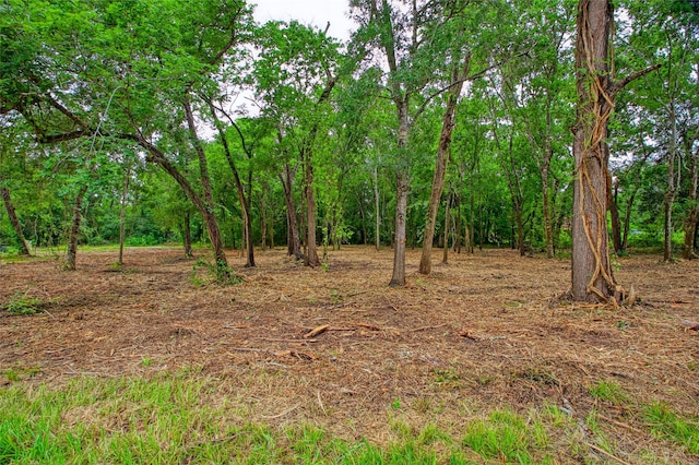 501 Colonial Dr, Friendswood, TX 77546 - photo 10