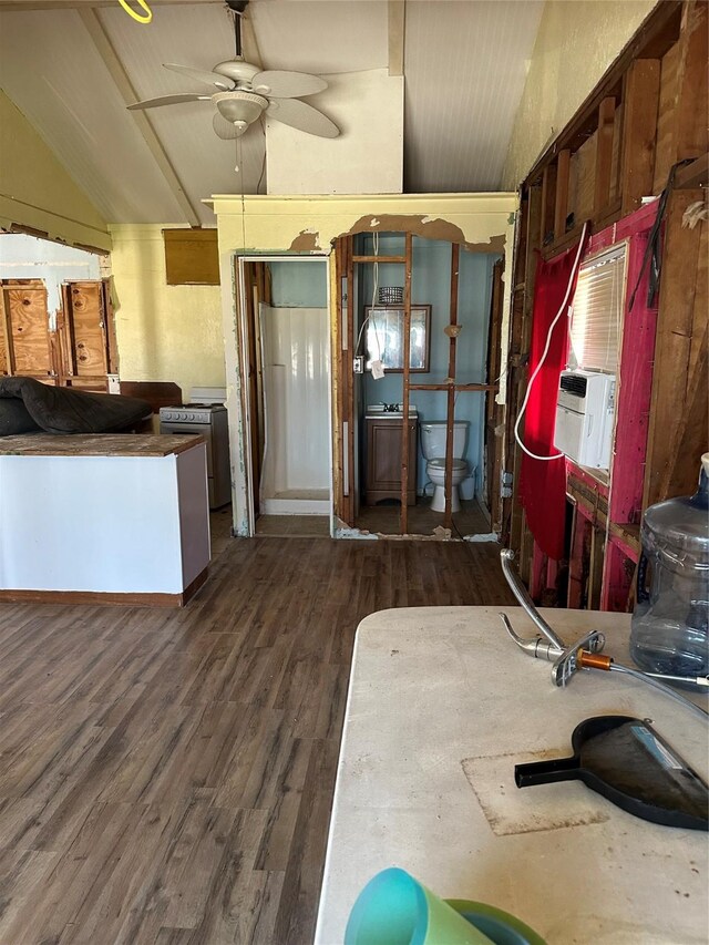 27314 Fm 457, Sargent, TX 77414 - kitchen featuring vaulted ceiling, a ceiling fan, and dark wood-style floors
