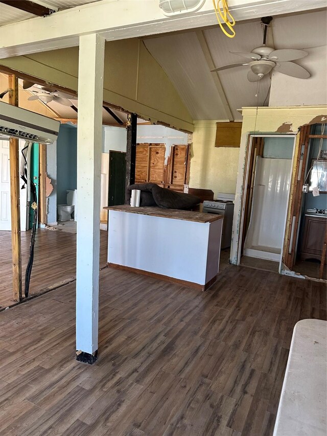 27314 Fm 457, Sargent, TX 77414 - kitchen with a ceiling fan, dark wood-style floors, and dark countertops
