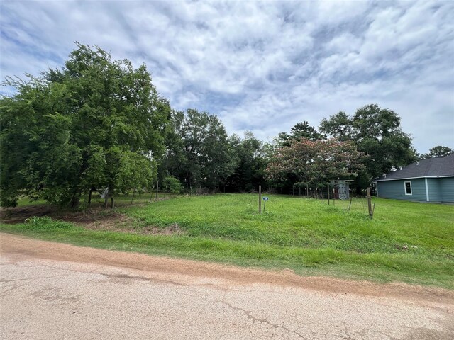 106 Marie Antoinette, Hempstead, TX 77445 - photo 2
