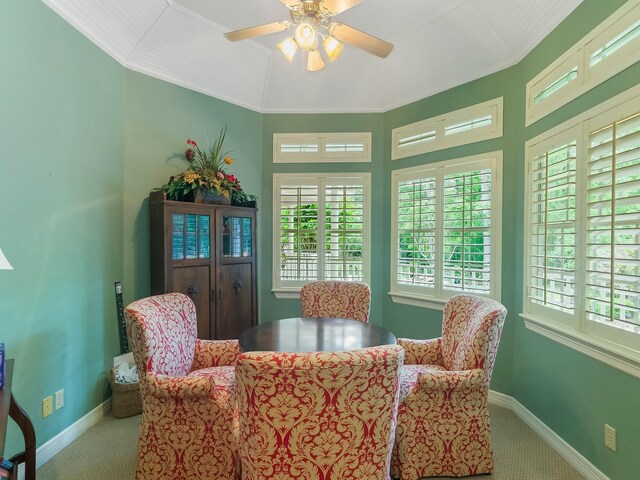 23222 Red Oak Trl, Tomball, TX 77377 - photo 32