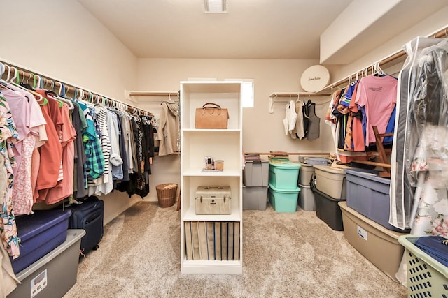 11401 Starlight Bay St, Pearland, TX 77584 - walk in closet featuring carpet floors
