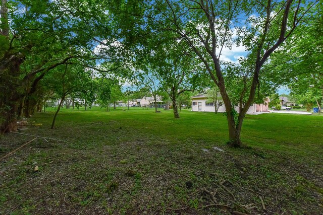 18610 Anne Dr, Webster, TX 77058 - view of grassy yard