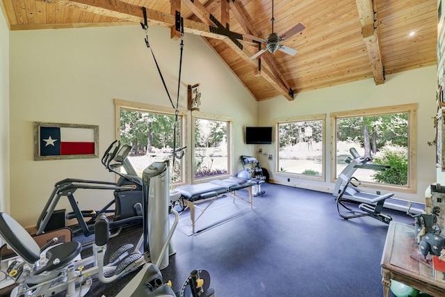 10002 Oxted Ln, Spring, TX 77379 - exercise room with wooden ceiling, healthy amount of natural light, ceiling fan, and high vaulted ceiling