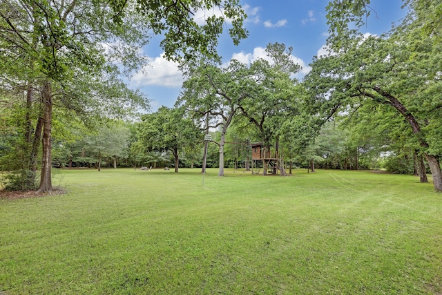 10002 Oxted Ln, Spring, TX 77379 - view of grassy yard with a playground