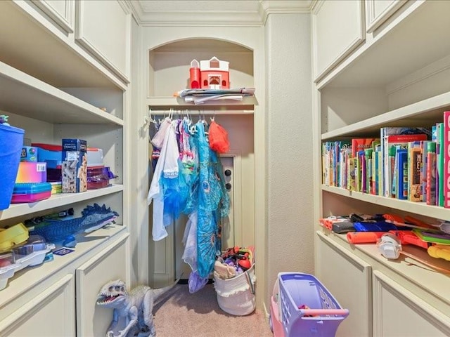 17806 Creek Bluff Ln, Cypress, TX 77433 - spacious closet with carpet floors