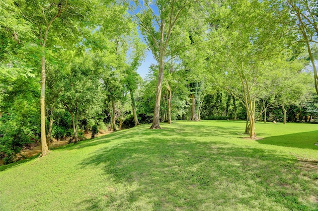 3350 Precinct Line Rd, Richmond, TX 77406 - view of grassy yard