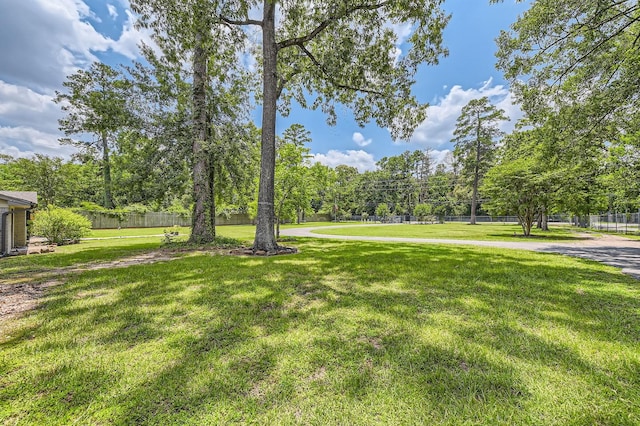 29742 Geneva Dr, Spring, TX 77386 - view of yard