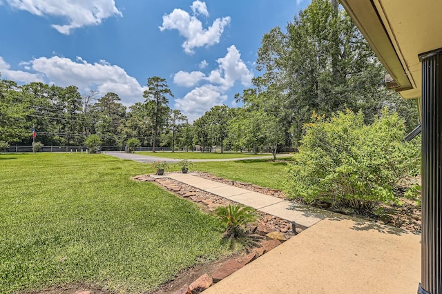 29742 Geneva Dr, Spring, TX 77386 - view of grassy yard featuring view of wooded area