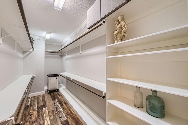 29742 Geneva Dr, Spring, TX 77386 - spacious closet with dark wood-style floors