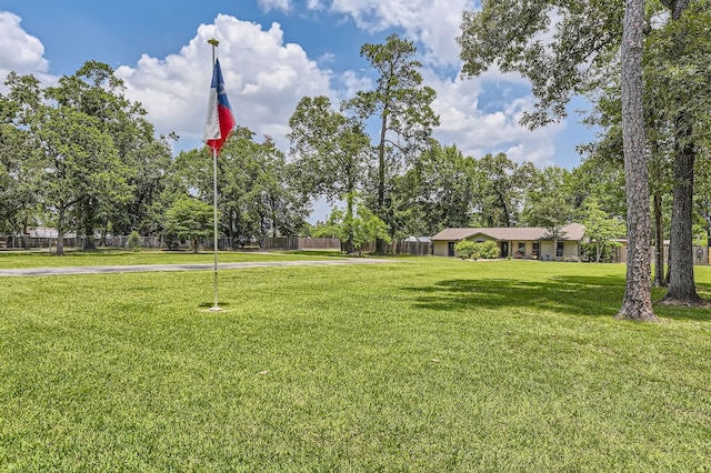 29742 Geneva Dr, Spring, TX 77386 - view of yard featuring driveway