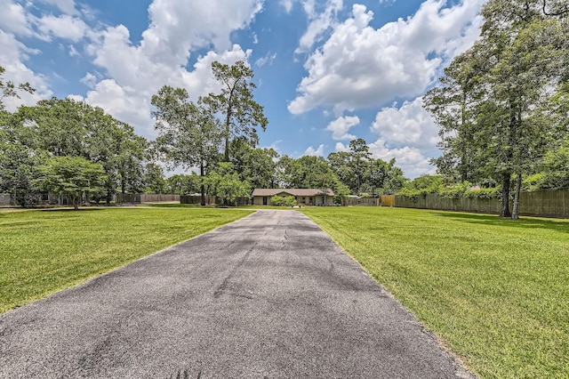 29742 Geneva Dr, Spring, TX 77386 - view of front of house with asphalt driveway