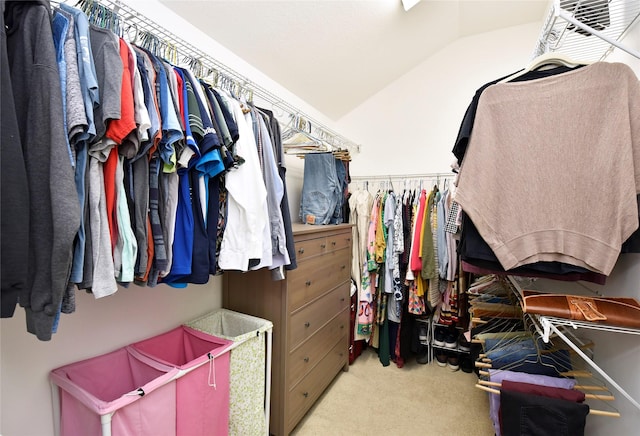 711 Shenandoah Falls Ln, Rosenberg, TX 77469 - spacious closet with vaulted ceiling and carpet floors