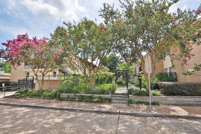 3131 Cummins St Unit 50, Houston, TX 77027 - view of community with a fenced front yard and a gate